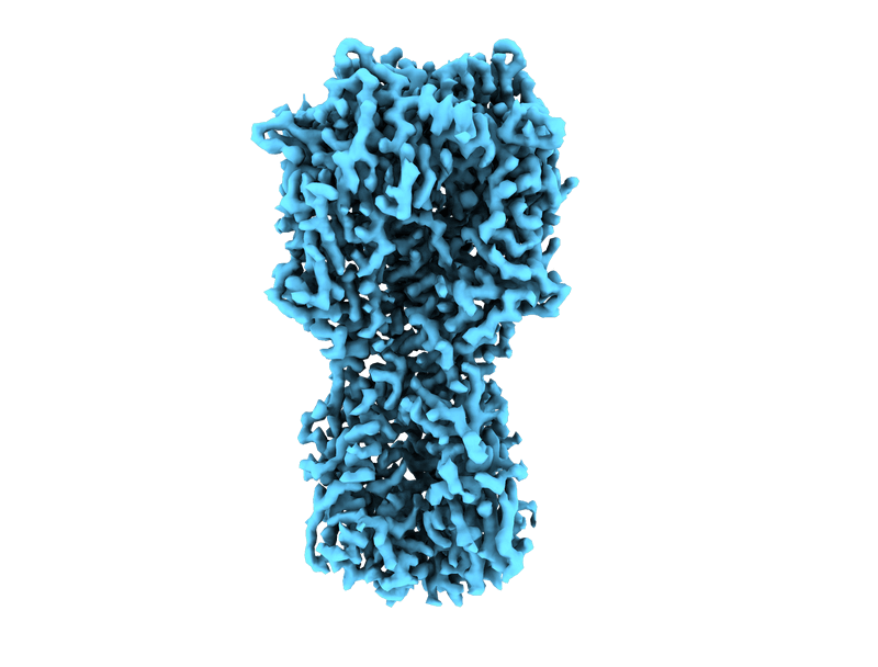 home page floating image 3